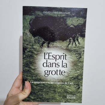 L'Esprit dans la grotte - La conscience et les origines de l'art