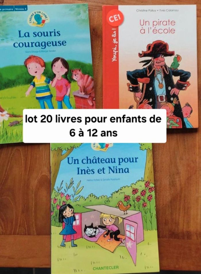 Lot de 20 livres pour enfants de 6 à 11 ans