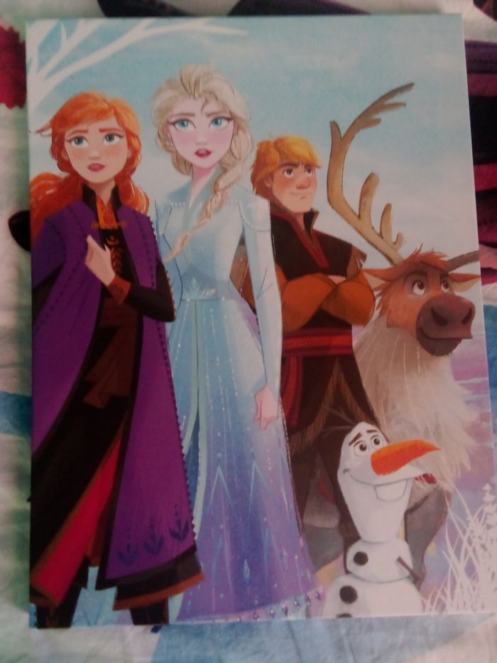 Reine des neiges diverses choses - photo numéro 4