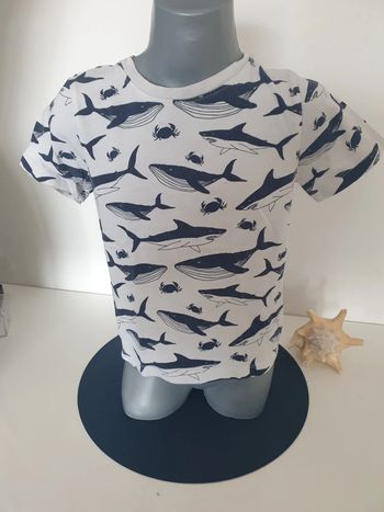 TEE shirt Dauphin Taille 110/116