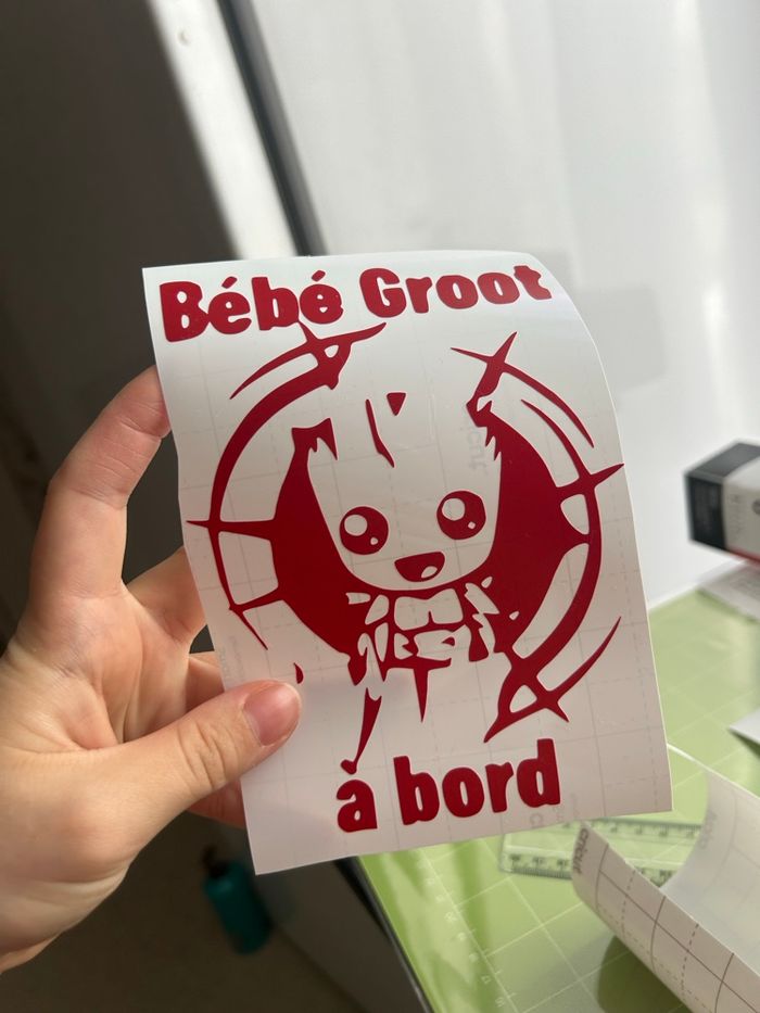 Bébé a bord - photo numéro 4