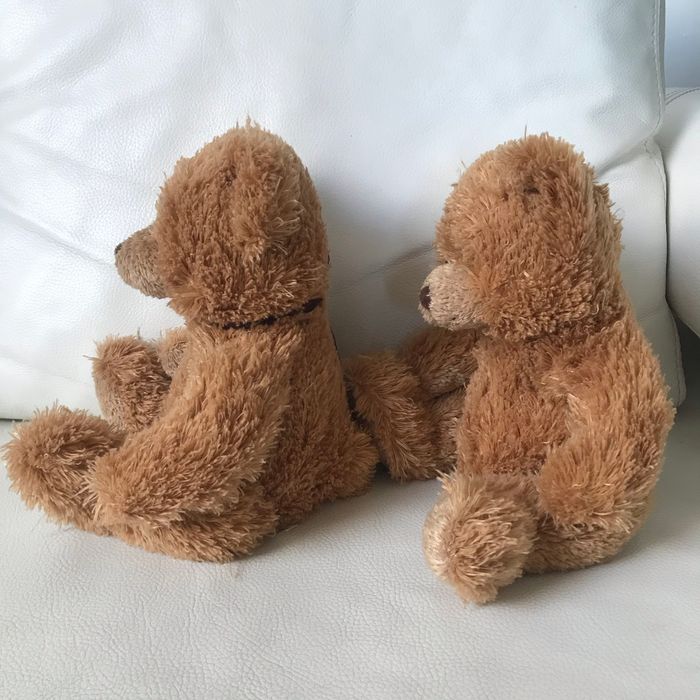 2 grands ours brun identiques - photo numéro 4