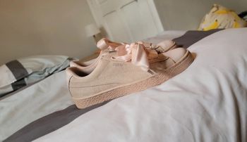Puma rose