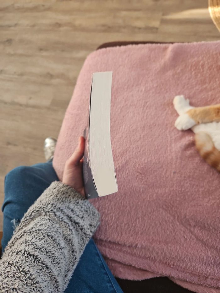 Livre - photo numéro 8