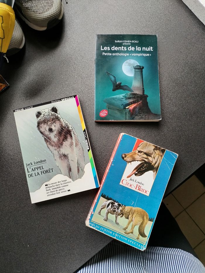 Lot livres ado collège - photo numéro 1