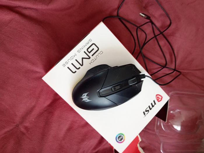 Souris - photo numéro 2