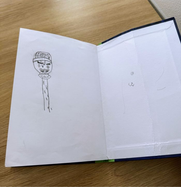 Livre Pokémon l’épreuve d’Ula-Ula - photo numéro 3
