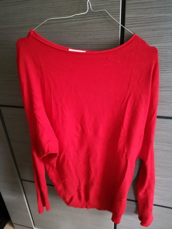 Pull cache cache manches chauve souris