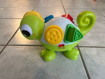 Caméléon couleur et forme