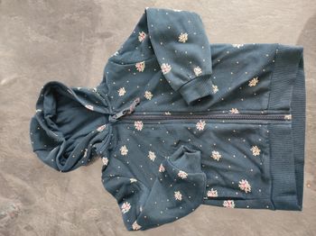 Veste