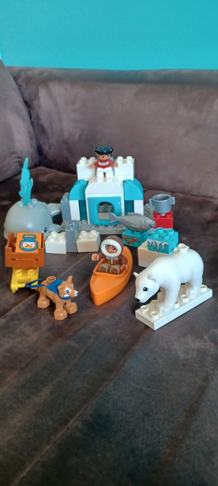 Duplo 10803
Les animaux de l'Arctique
