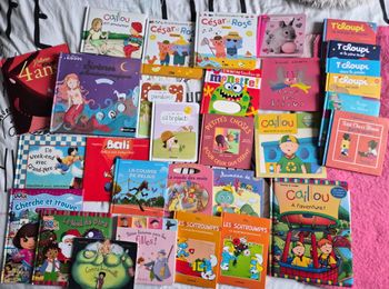 Lot de livres pour enfants