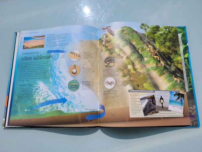 Livre Les Océans 🌊 à la loupe, éditions Larousse - photo numéro 9