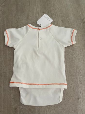 Body tee shirt absorba