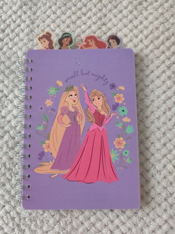 Carnet Princesse