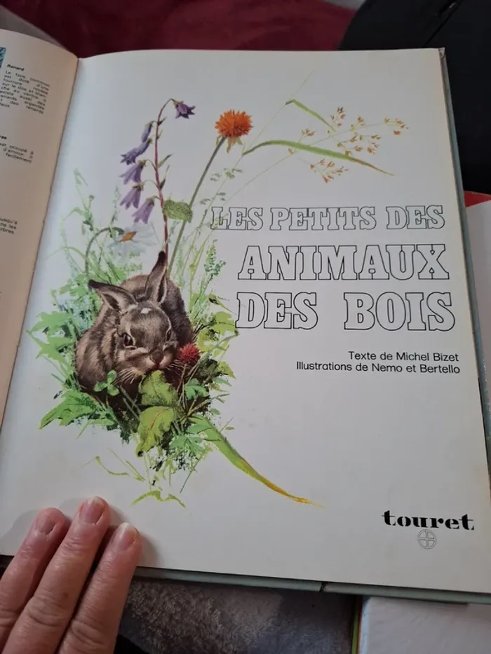 Magnifique livre pour jeune enfant sur les Animaux de la foret - photo numéro 8