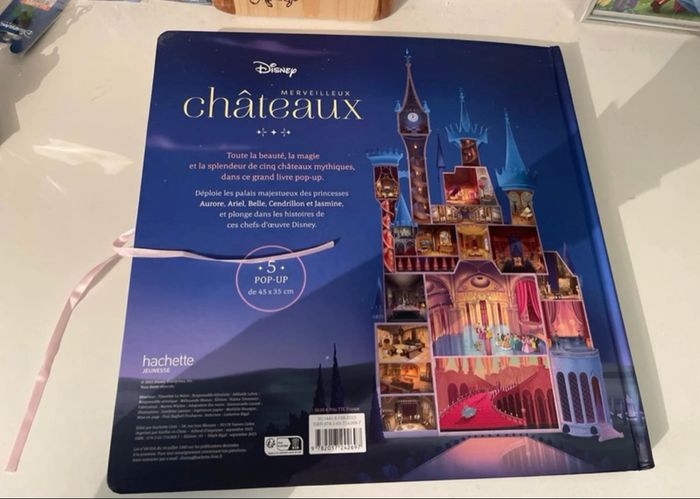 Livre châteaux Disney - photo numéro 2