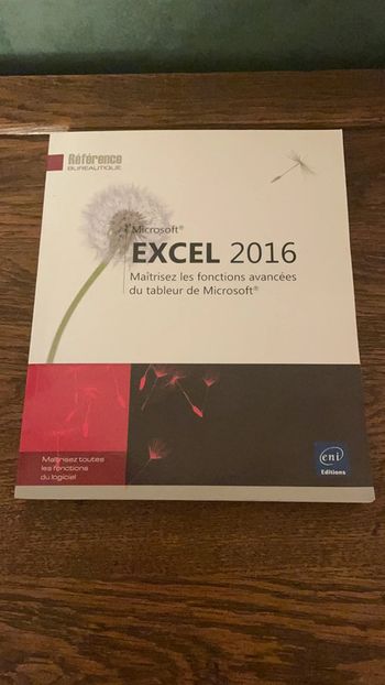 Microsoft - Excel 2016 - Maîtrisez les fonctions avancées du tableur de Microsoft