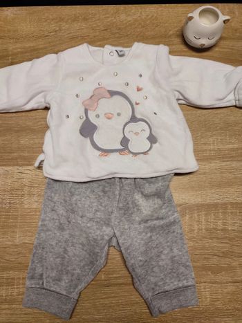 Ensemble pingouin 🐧