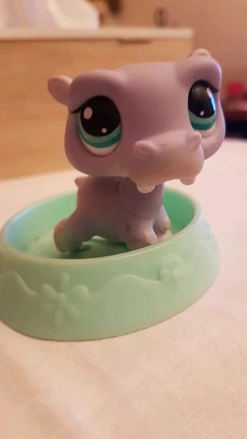 Hippopotame petshop et sa piscine