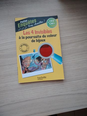 Livre Les petites enquêtes ce2 et cm1