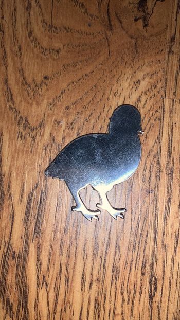 Magnet oiseau