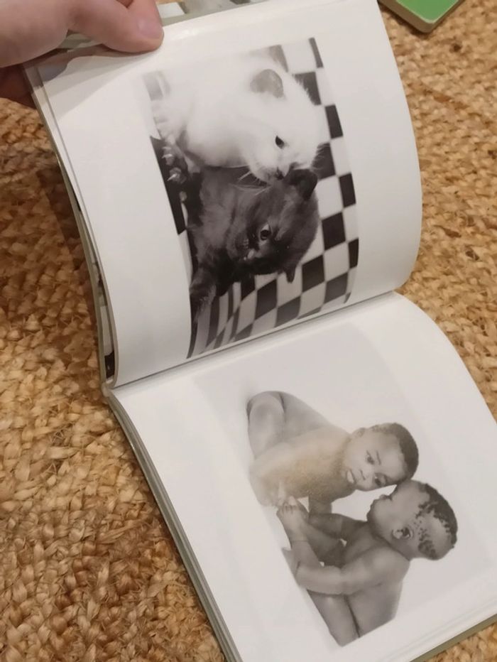 Livre Mon Petit chat - photo numéro 3