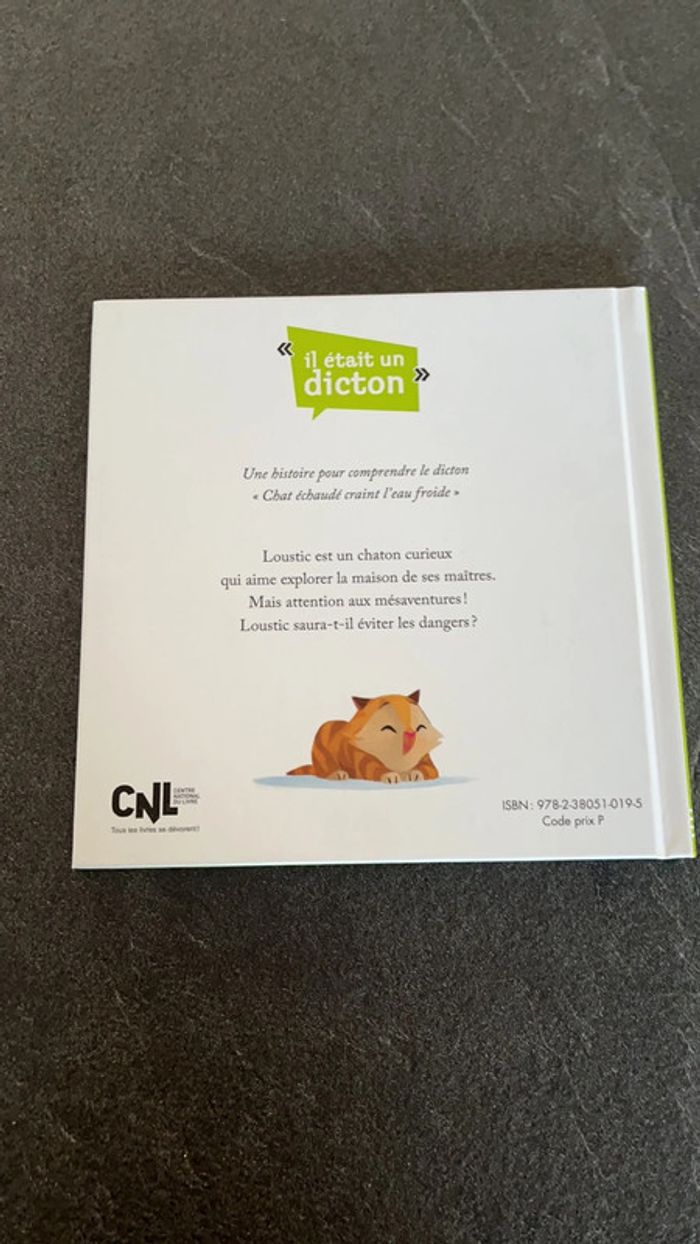 Livre Chat échaudé craint l’eau froide - photo numéro 2
