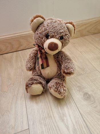 Ours en peluche