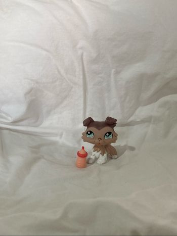 lps colley