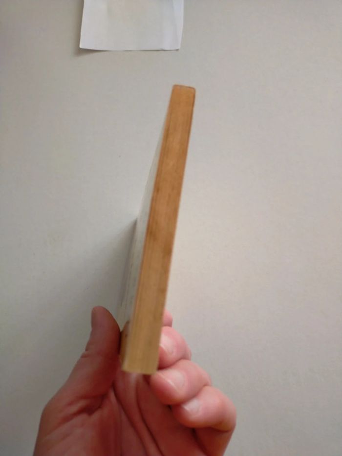 Garfield just good friends - photo numéro 6