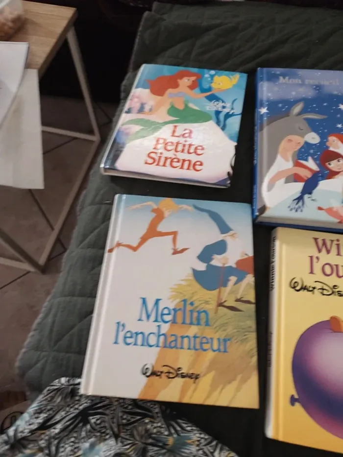 4 super livres disney - photo numéro 2