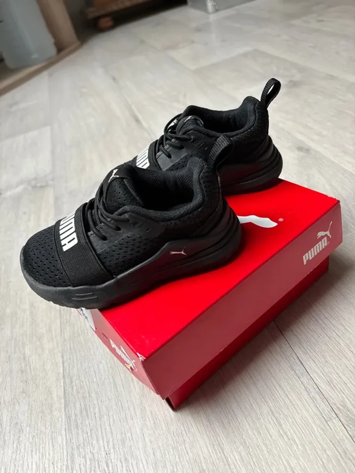 Puma noires