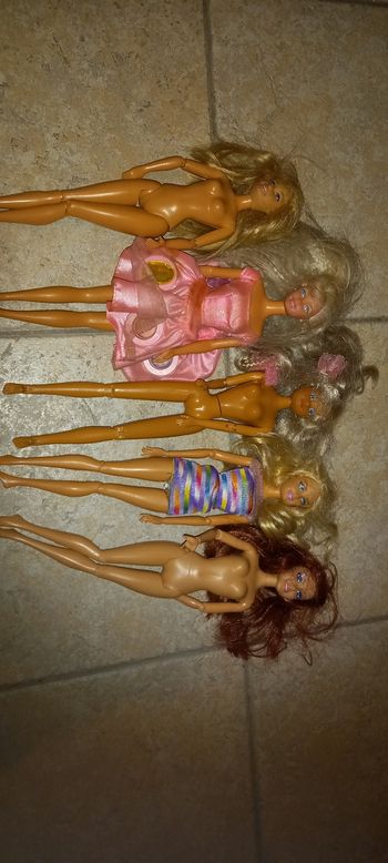 Barbir 5 euros pièce