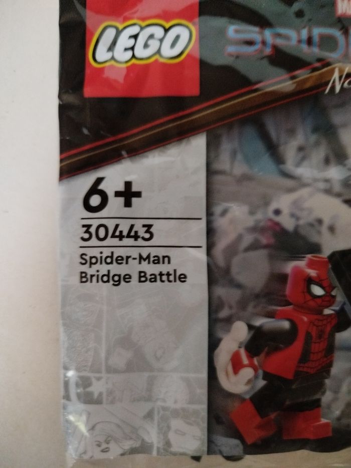 Polybag Lego Spider-Man No way home - photo numéro 2