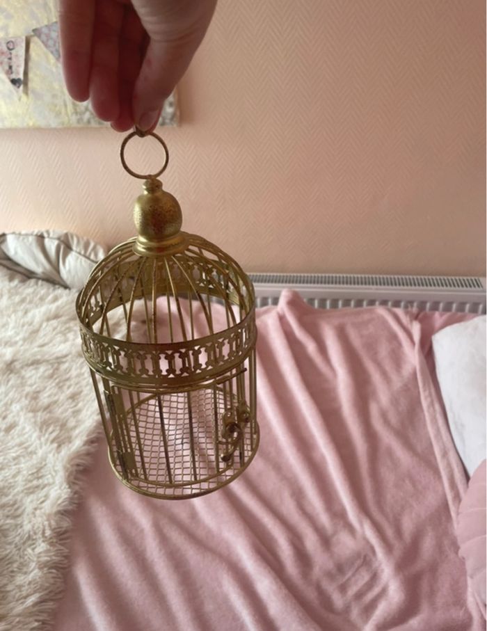 Cage oiseaux - photo numéro 4