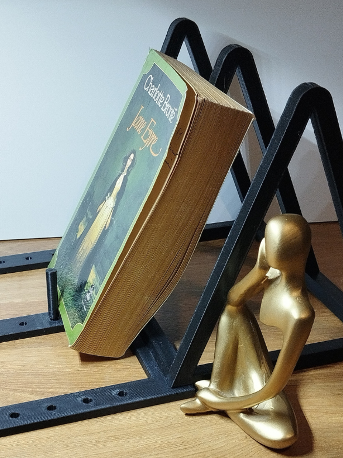 Roman Jane Eyre de Charlotte Brontë - photo numéro 3