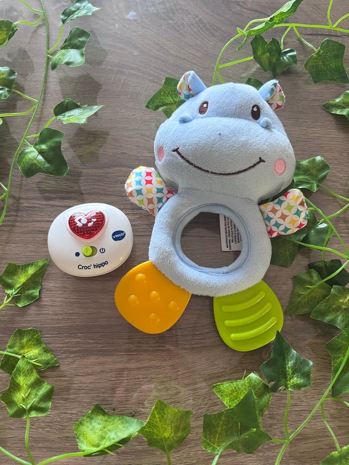 Croc hippo - photo numéro 3