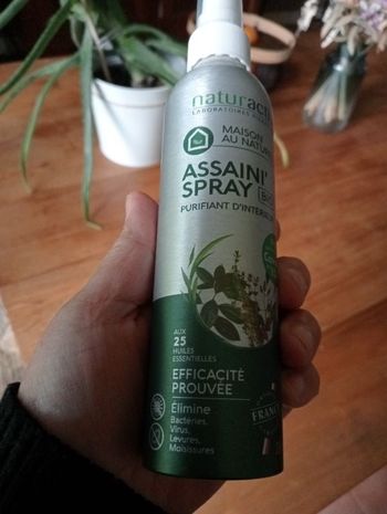Assaini spray bio