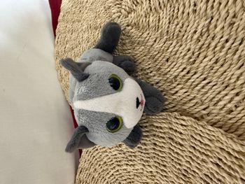 doudou chat ligne grise noir blanc gris collier rouge