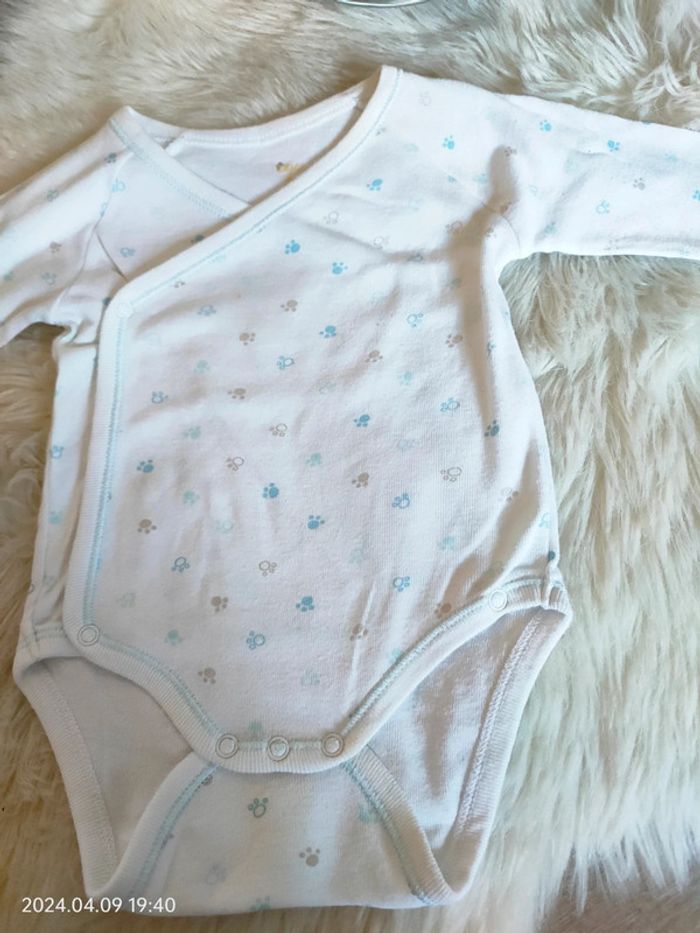 Bodie 6 mois - photo numéro 2