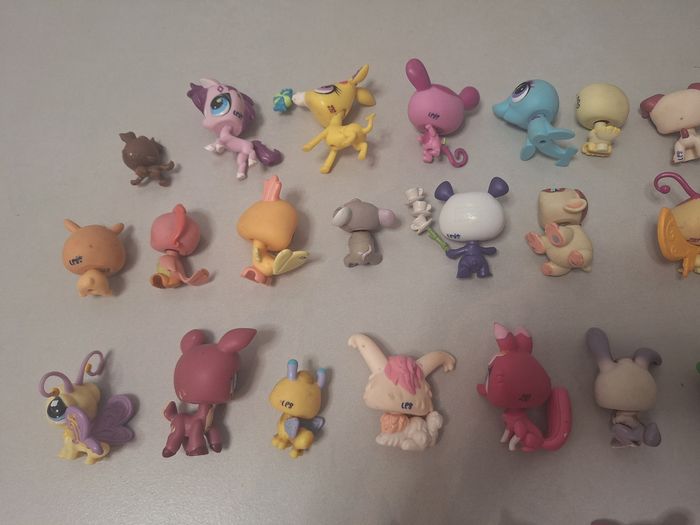 Lot 34 petshop - photo numéro 8