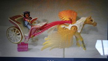 Le carrosse avec cheval ailé 5143