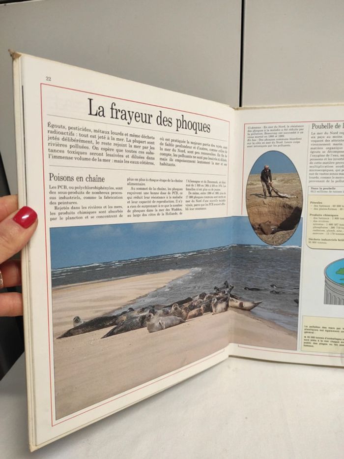 La vie des océans et des mers, N. Davies - photo numéro 3