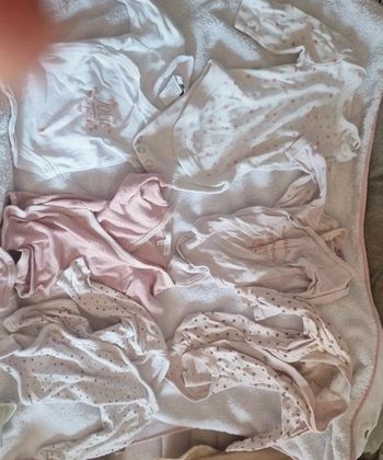 Lot 6 boddies manche longue