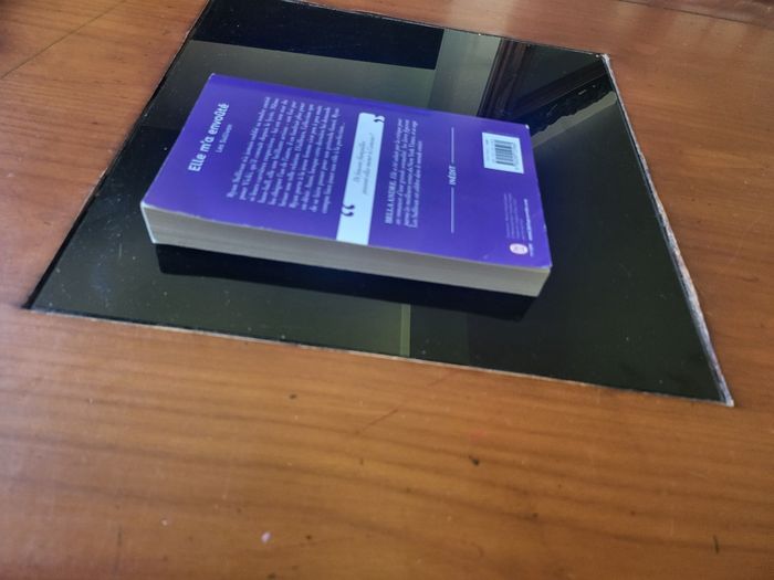 Livre 📖 les sullivan elle m'a envoûté - photo numéro 3
