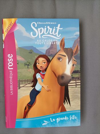 Livre Spirit neuf