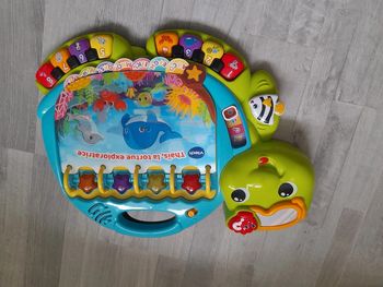 Thais la tortue exploratrice