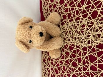 Chien peluche bouclé