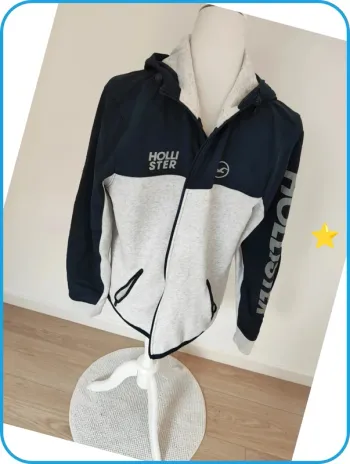 Veste homme Hollister